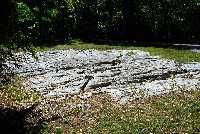 Click to see 080918pib016.jpg