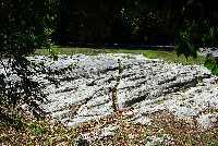 Click to see 080918pib018.jpg