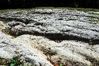 Click to see 080918pib021.jpg