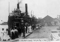 Click to see s_foxdk3.jpg