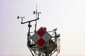 Click to see P0000064.jpg